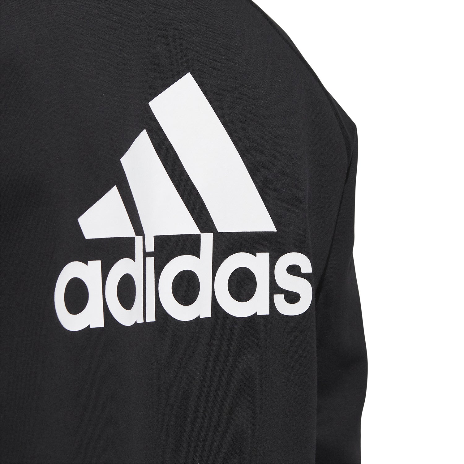 Men wearing adidas hoodie jacket in windy weather