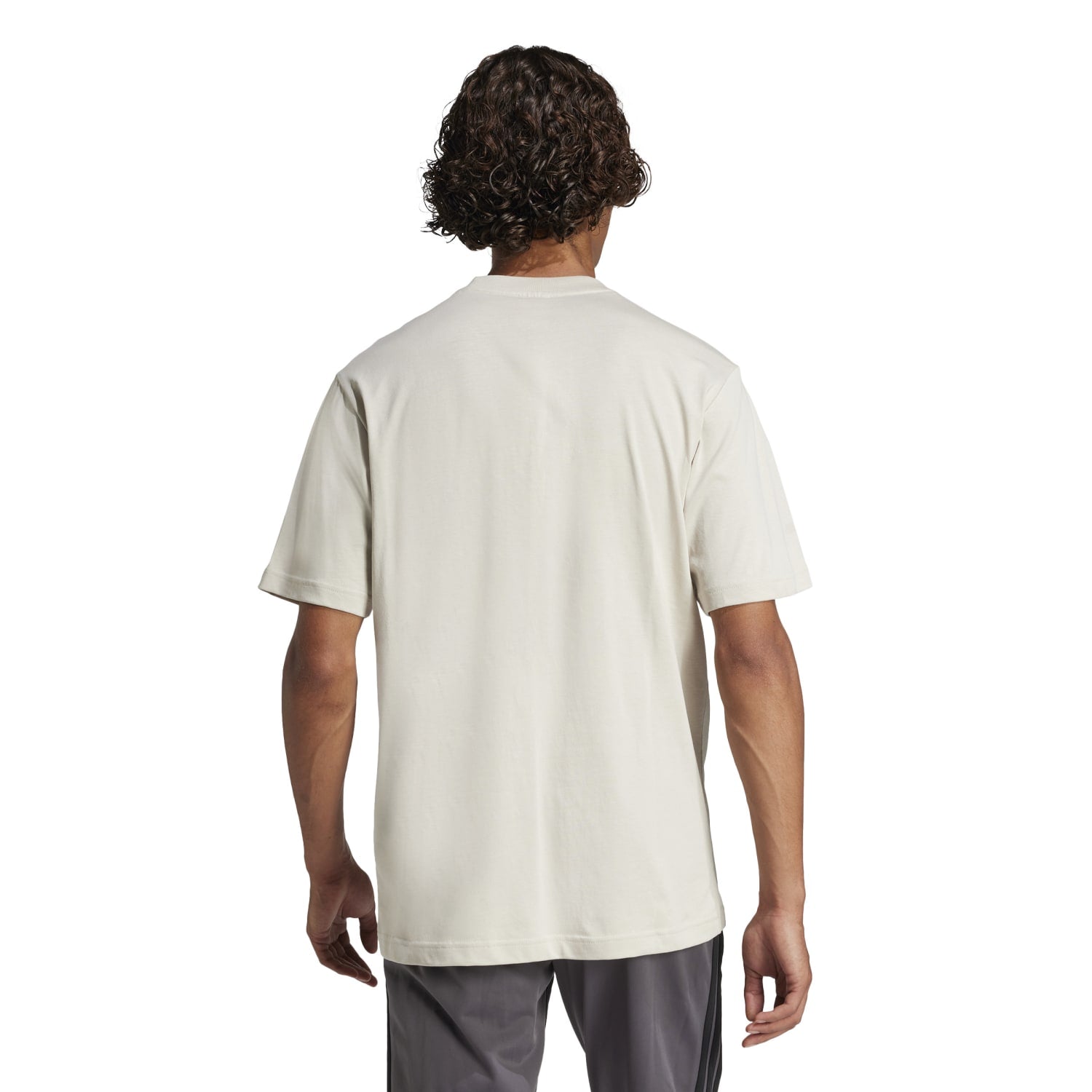 Adidas mens t-shirt with logo displayed outdoors.