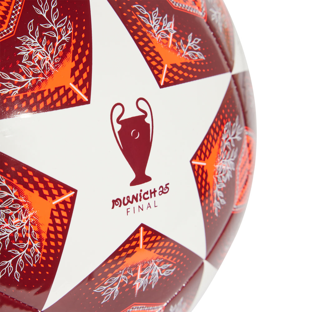 UEFA Champions League ball on a football pitch ready for play