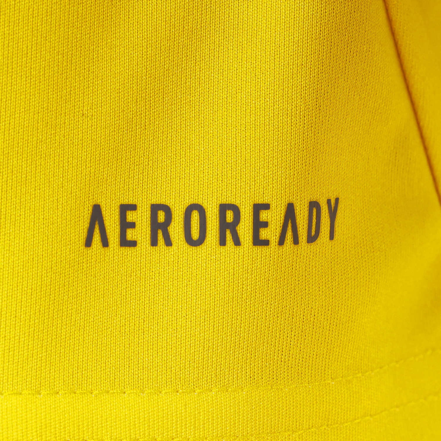 Back view showcasing the design of the Club America home jersey